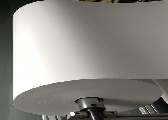 Le cartucce HEPA della raccolta di polvere la membrana di larghezza PTFE di carta da filtro 6cm-10cm