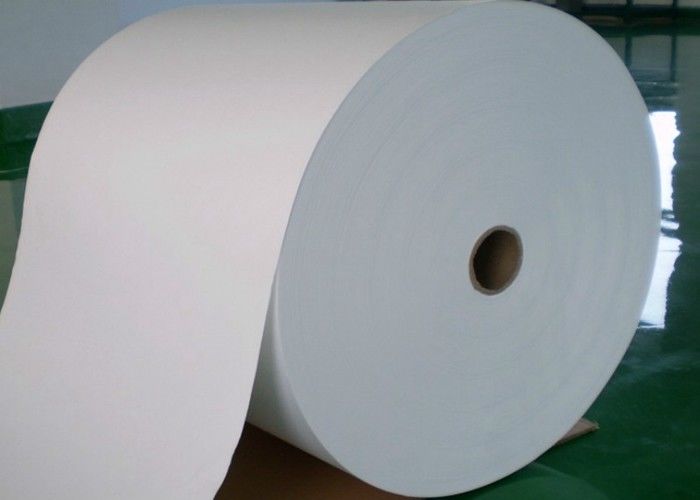 La carta da filtro di 380 Kpa Hepa riveste rete parteggiata della membrana di PTFE la doppia