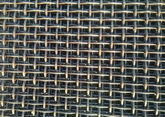 Cavo tessuto resistente alla corrosione 20 Mesh Plain Weave Stainless Steel di L30m
